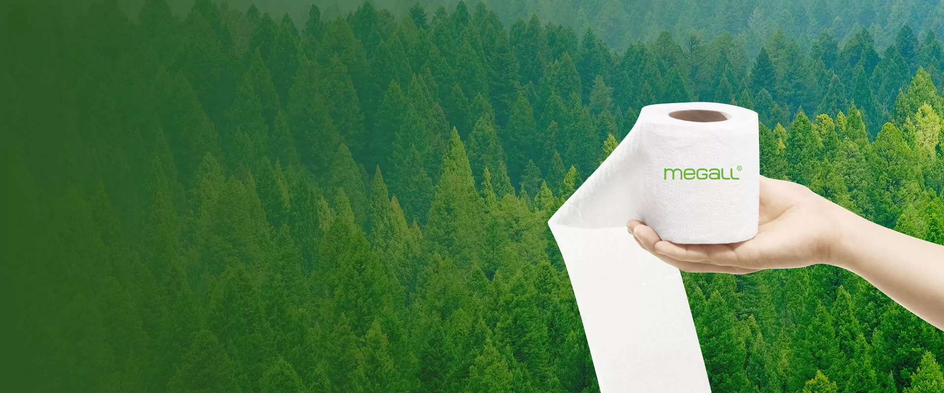 Sanitary Paper Supplier et Factory