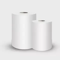 Quam eligere Sanitary Paper ad opus?